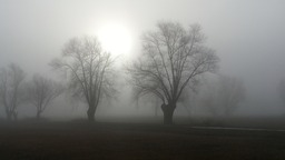2014-01-03 09.57.26
