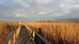 20140102_155820